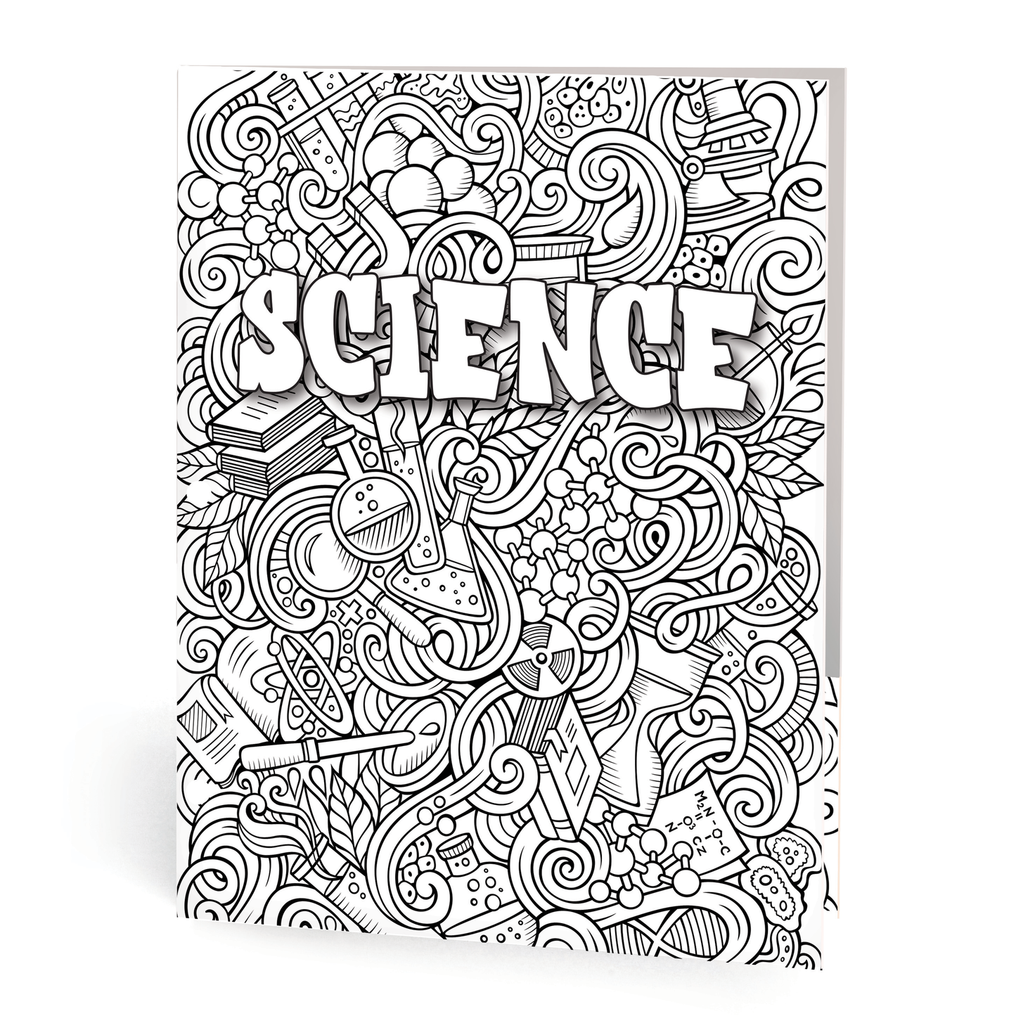 4 Color Your Own 2 Pocket Portfolios