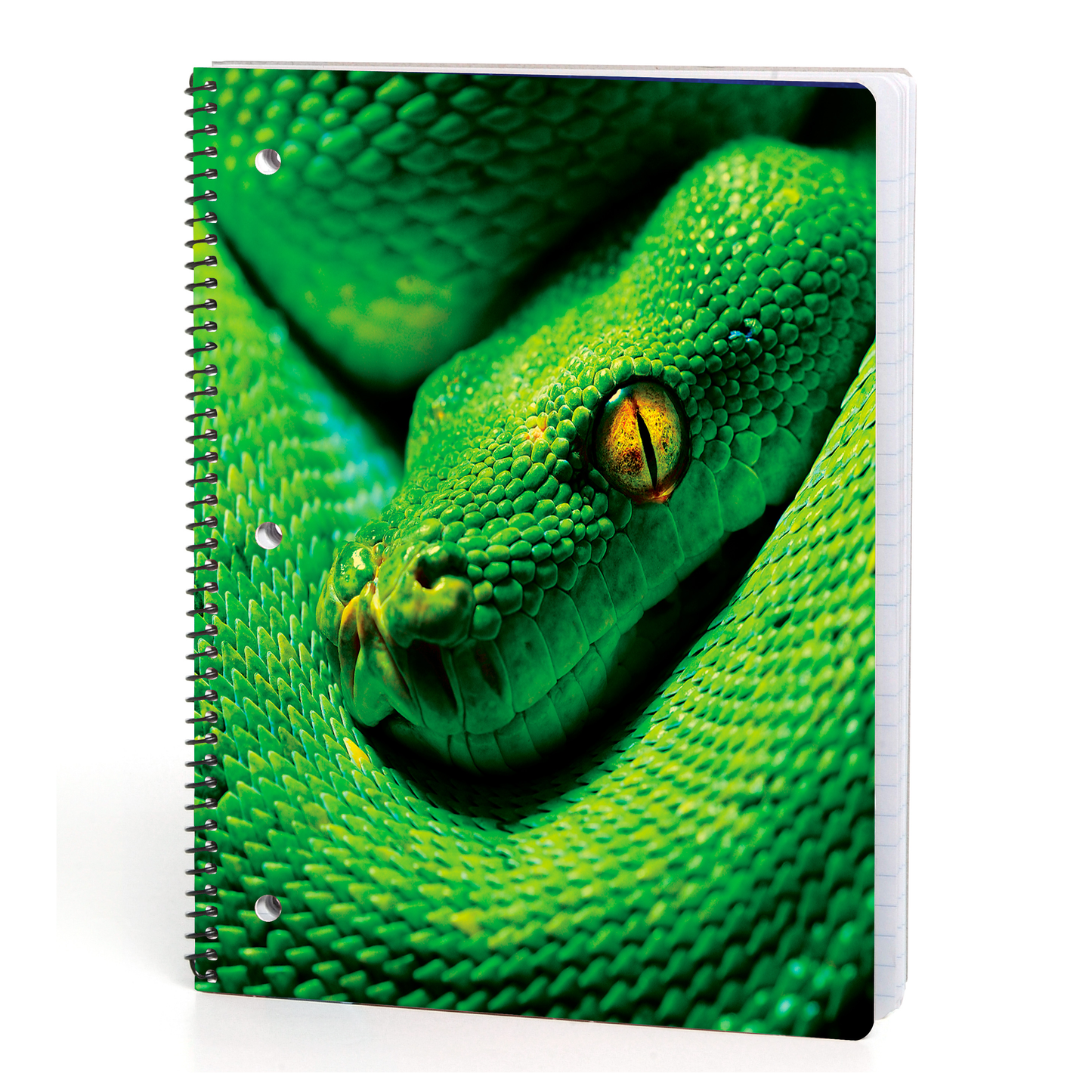 Reptiles Dimensional 70 ct Theme Books